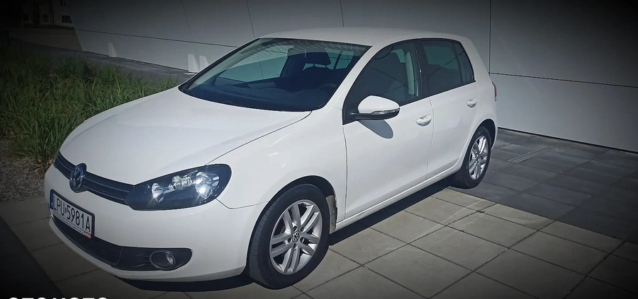 Volkswagen Golf cena 19900 przebieg: 272000, rok produkcji 2010 z Skórcz małe 301
